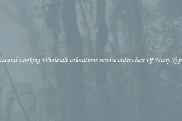 Natural Looking Wholesale colorations service orders hair Of Many Types