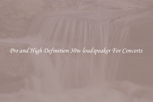 Pro and High Definition 30w loudspeaker For Concerts 