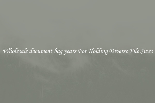 Wholesale document bag years For Holding Diverse File Sizes