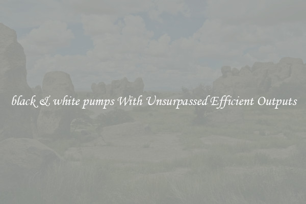 black & white pumps With Unsurpassed Efficient Outputs
