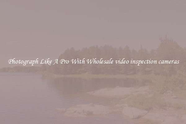 Photograph Like A Pro With Wholesale video inspection cameras