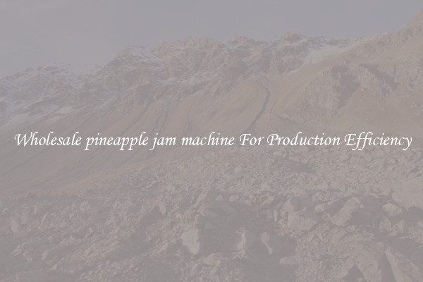 Wholesale pineapple jam machine For Production Efficiency