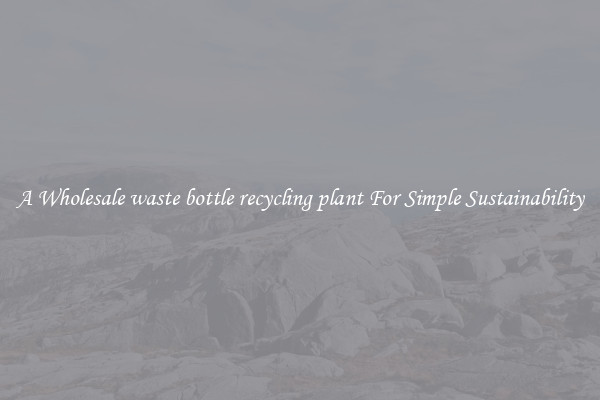  A Wholesale waste bottle recycling plant For Simple Sustainability 