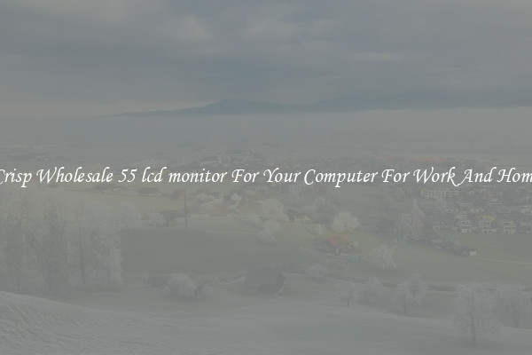 Crisp Wholesale 55 lcd monitor For Your Computer For Work And Home