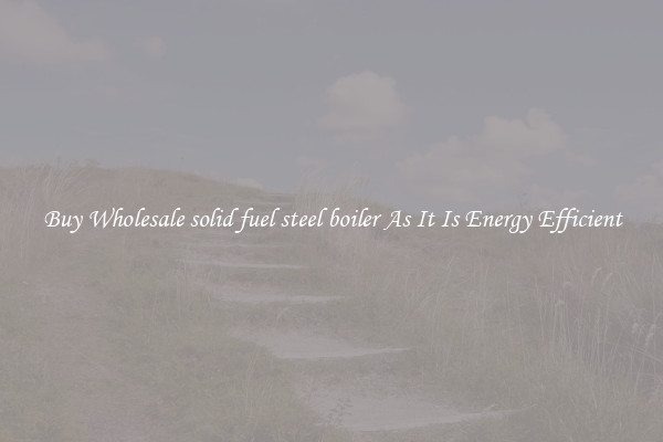 Buy Wholesale solid fuel steel boiler As It Is Energy Efficient
