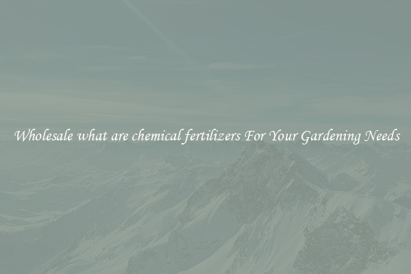 Wholesale what are chemical fertilizers For Your Gardening Needs