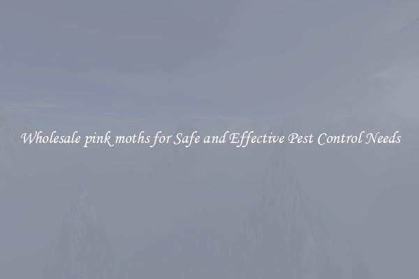 Wholesale pink moths for Safe and Effective Pest Control Needs