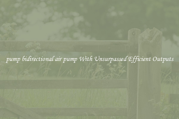 pump bidirectional air pump With Unsurpassed Efficient Outputs