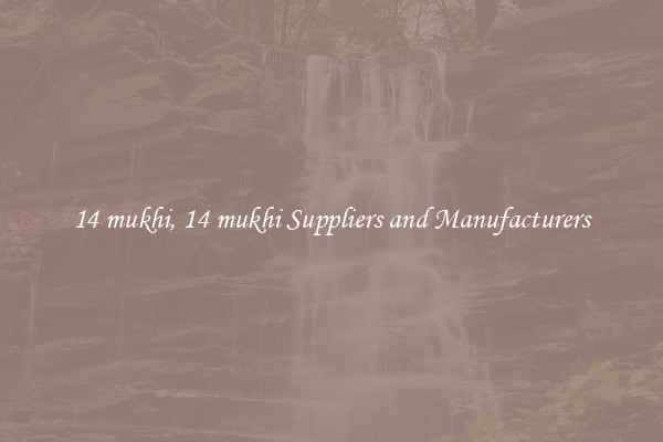 14 mukhi, 14 mukhi Suppliers and Manufacturers