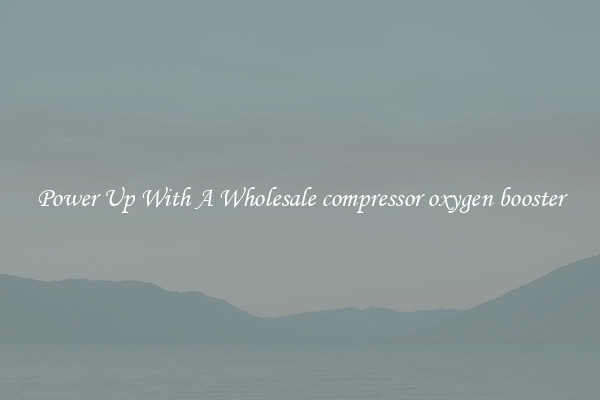 Power Up With A Wholesale compressor oxygen booster