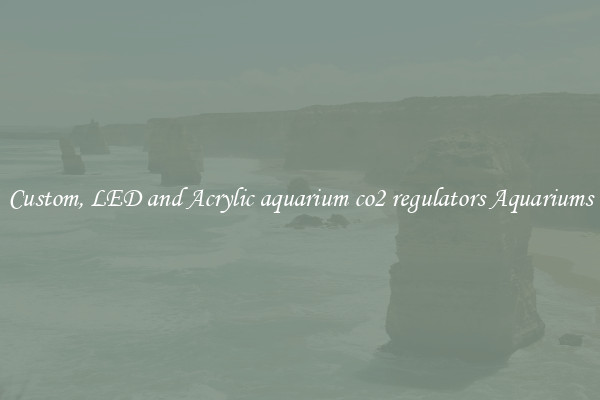 Custom, LED and Acrylic aquarium co2 regulators Aquariums