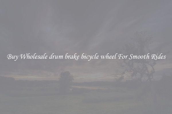 Buy Wholesale drum brake bicycle wheel For Smooth Rides